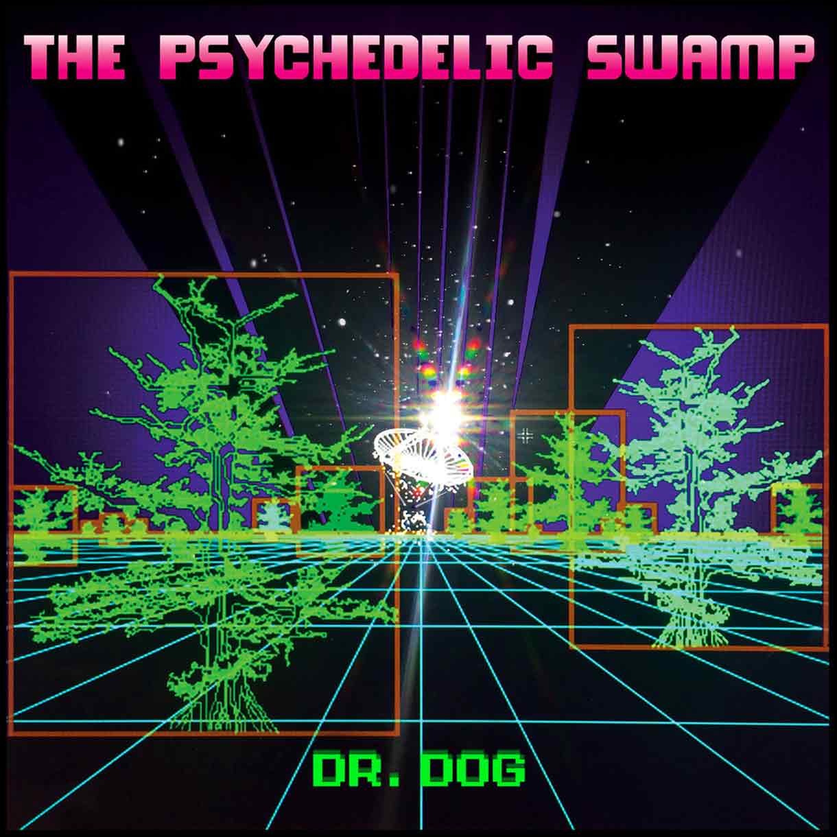 DR DOG "The Psychedelic Swamp"